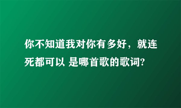你不知道我对你有多好，就连死都可以 是哪首歌的歌词?