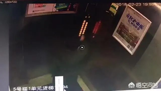 对于熊孩子冲电梯按键撒尿,致故障被困,你怎么看?