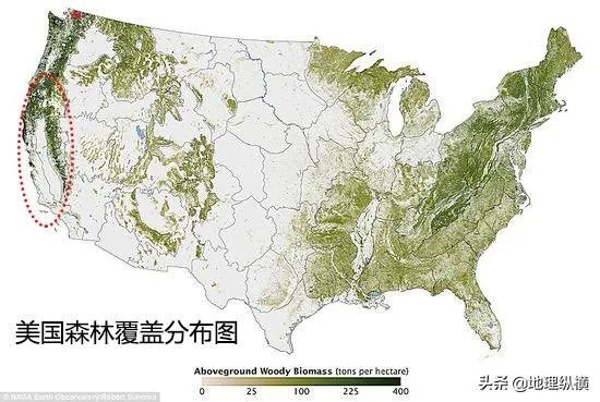 加州大火的原因是什么