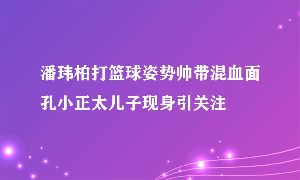 潘玮柏打篮球姿势帅带混血面孔小正太儿子现身引关注