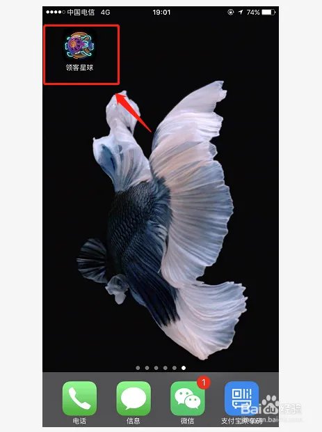 领客星球游戏升级基础攻略