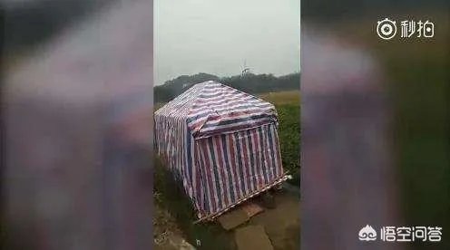 广西九旬老人病重住大棚,镇政府:当地忌讳老人在女儿家过世,你怎么看?