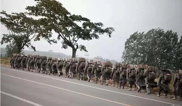 中国真正尼姑 看得我心头一震（组图）