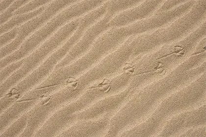 2021年10月31日出生宝宝五行查询