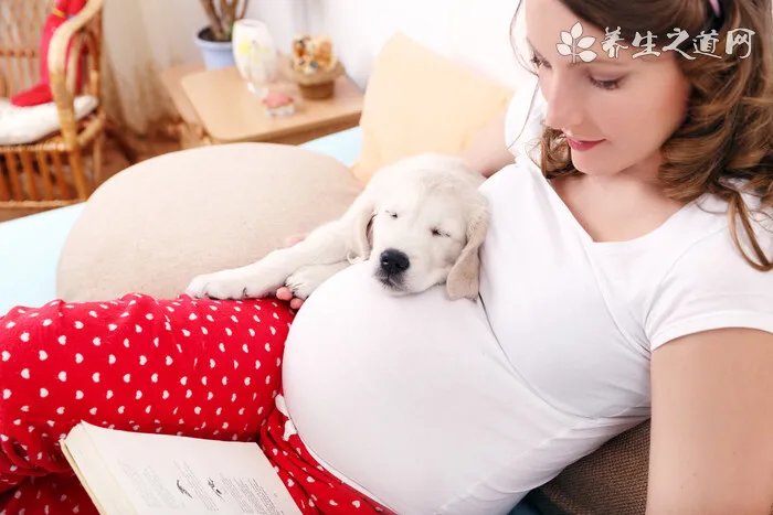 夏至养生祝福语_夏至祝福语短信_夏至节气的养生短信