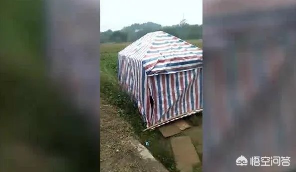 广西九旬老人病重住大棚,镇政府:当地忌讳老人在女儿家过世,你怎么看?