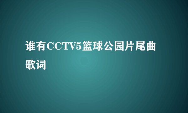谁有CCTV5篮球公园片尾曲歌词
