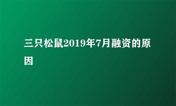 三只松鼠2019年7月融资的原因