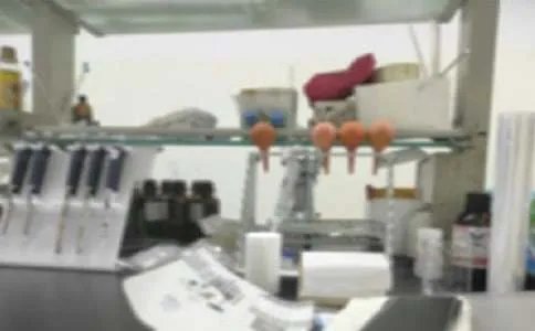 探究实验室工作总结