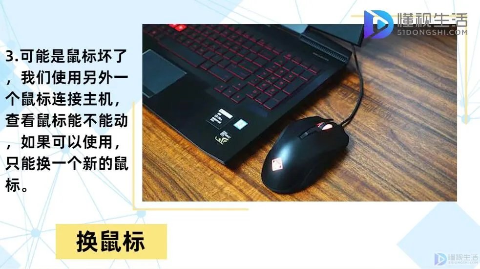 电脑上鼠标键盘都动不了怎么办