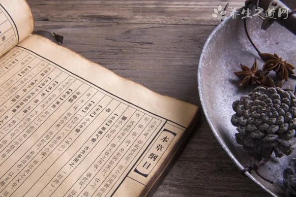 冬季养生适合喝什么茶