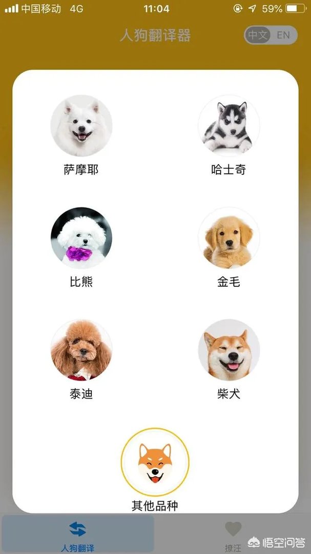 可以翻译狗狗叫声的软件