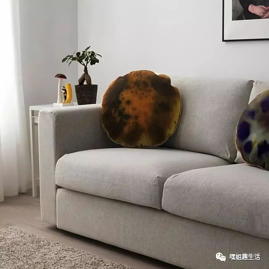 好用又不贵,一大波宜家收纳新品来袭~