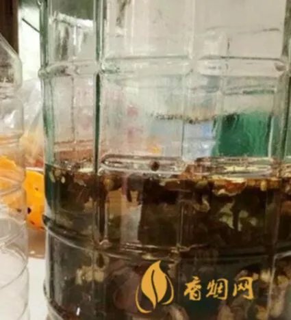 白酒钓鱼泡酒配方大全 丁香酒钓鱼配方大全？