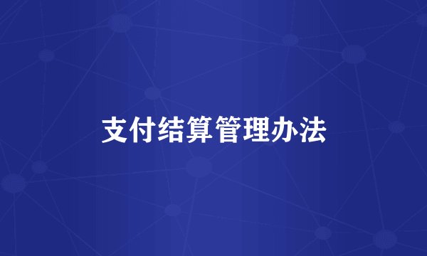 支付结算管理办法