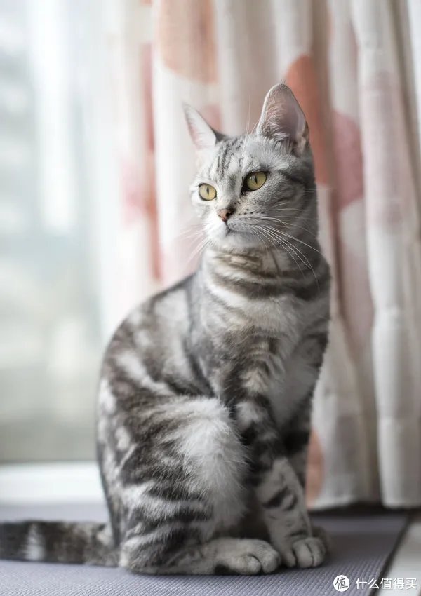 闻香识女人:翻一翻自家女王的小众香水