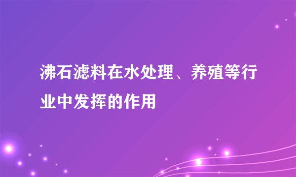 沸石滤料在水处理、养殖等行业中发挥的作用