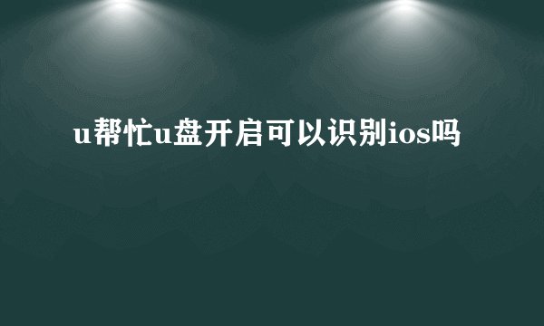 u帮忙u盘开启可以识别ios吗