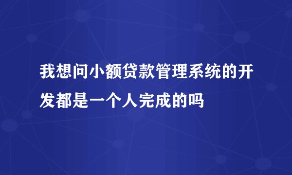 我想问小额贷款管理系统的开发都是一个人完成的吗