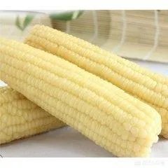 松原乾安最具特色的年味特产是什么?