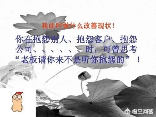 为什么张雪峰总是有很多职场鸡汤？