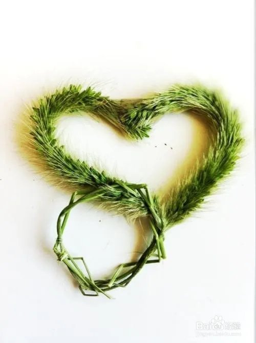 狗尾巴草编戒指教程