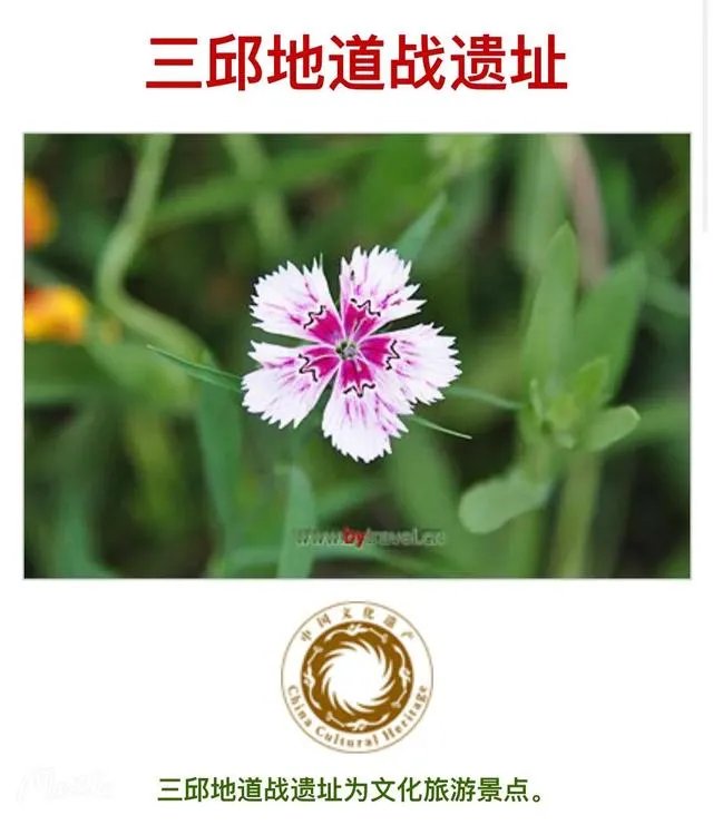 藁这个字怎么读?啥意思?能介绍下藁城吗?