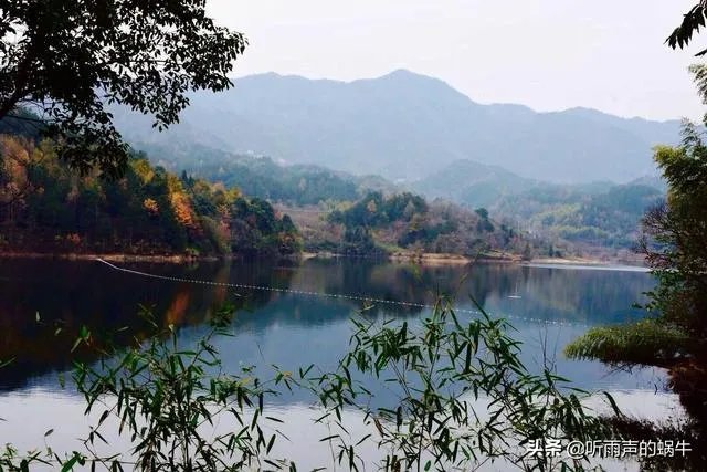 夏季出游避暑，有的喜欢在国内，有的喜欢出国。你感觉去哪里好？