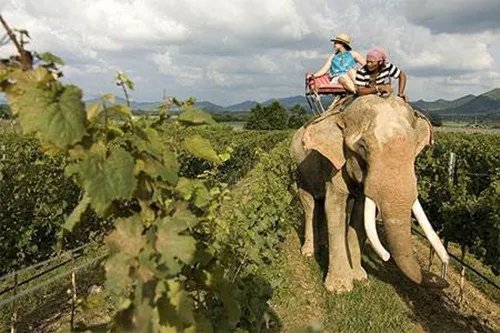 蜜月旅行地有哪些  蜜月旅行去哪儿好