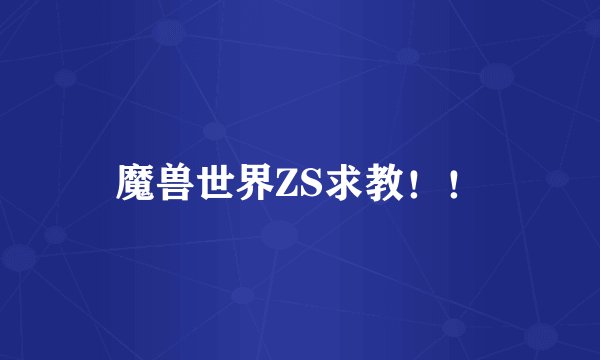 魔兽世界ZS求教！！