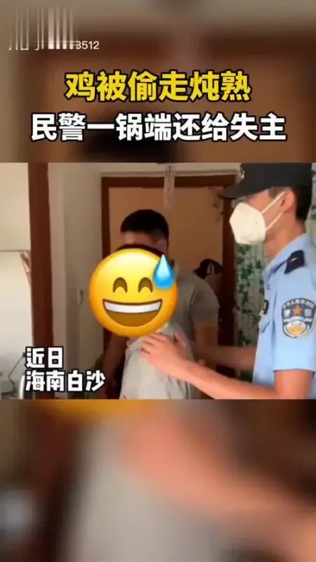 市民家中的鸡被偷走炖熟，民警一锅端还给失主，其厨艺如何？