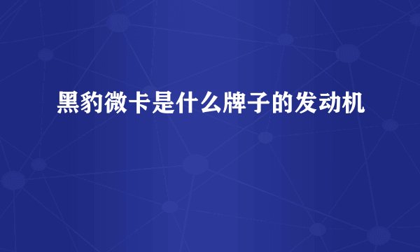 黑豹微卡是什么牌子的发动机