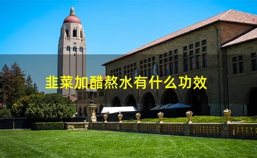 韭菜加醋熬水有什么功效