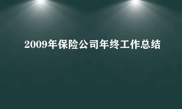 2009年保险公司年终工作总结