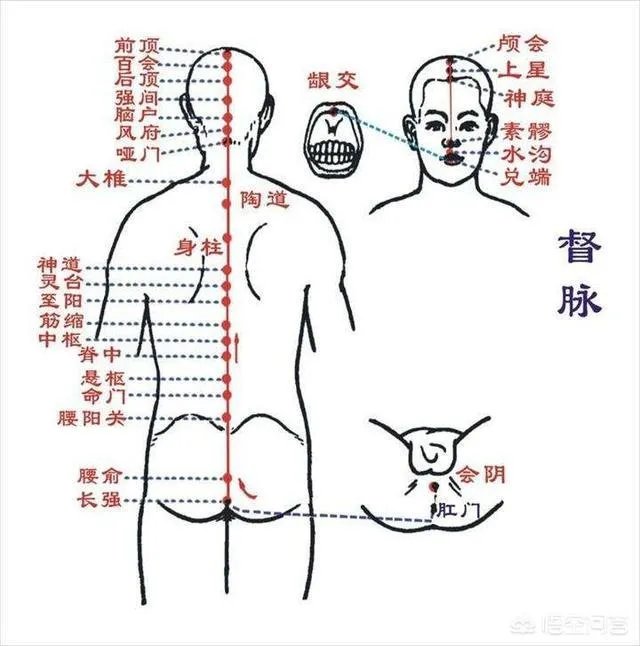 《黄帝内经》仅仅是一部医学巨著吗？