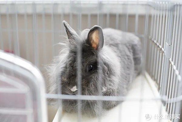 闻香识女人:翻一翻自家女王的小众香水