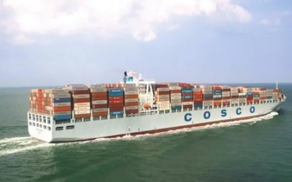 中国船公司大全