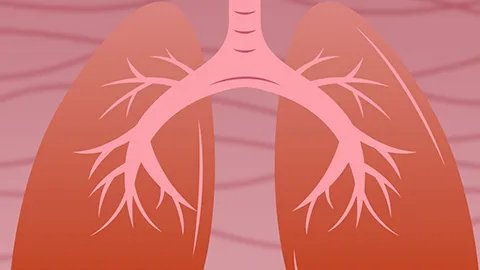 清热解毒口服液对肺炎有用吗