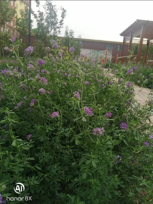 何猷君何超莲互相取关,为何遭疑正式“开撕”,你怎么看此事?