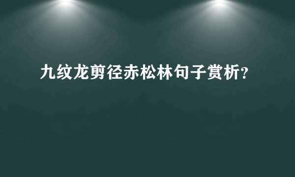 九纹龙剪径赤松林句子赏析？
