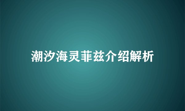 潮汐海灵菲兹介绍解析