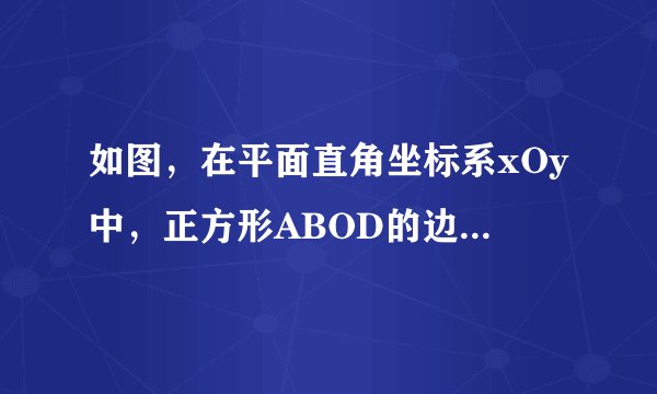 如图，在平面直角坐标系xOy中，正方形ABOD的边OD，BO在坐标轴上，正方形边长为4，直线y=2x+2与y轴交于点E，与x轴交于点F．       （1）求直线AE的函数关系式和点F的坐标；  （2）在直线AD上是否存在点P使得△AFP为等腰三角形？若存在，直接写出P点的坐标；若不存在，请说明理由．