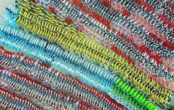 为什么共享单车接连倒闭？