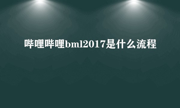 哔哩哔哩bml2017是什么流程