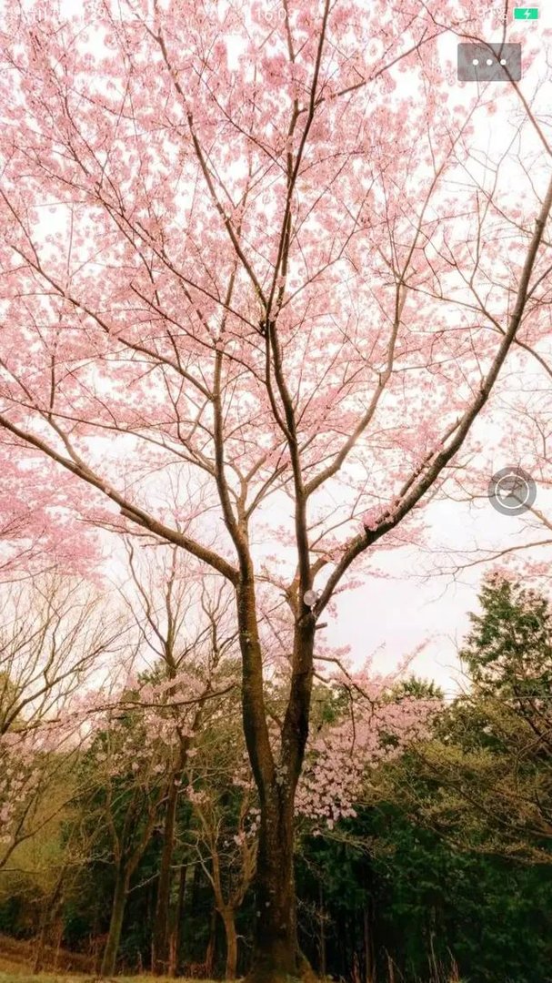 上海在哪里偶遇明星的概率最高?