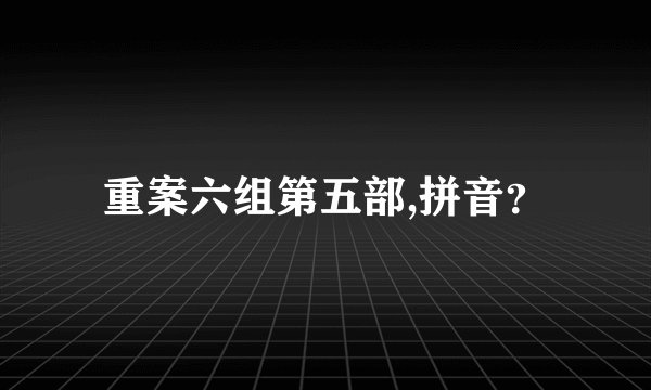 重案六组第五部,拼音？