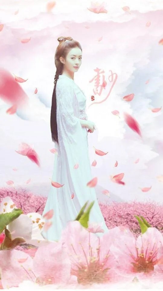 《楚乔传》一共有多少集？