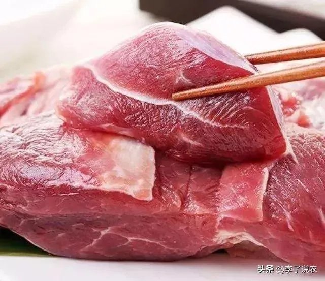 9月4日猪价:东北全线下跌,算是新一轮下跌的信号吗?