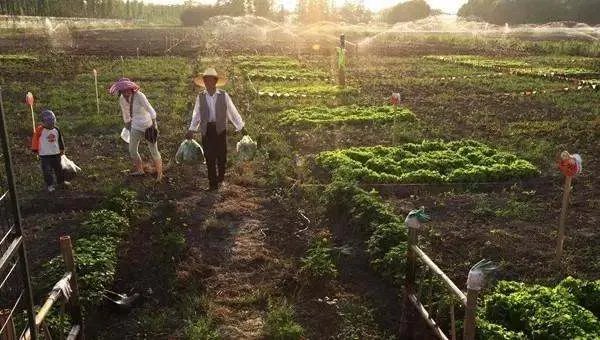 家庭农场经营范围