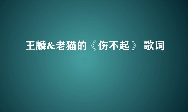 王麟&老猫的《伤不起》 歌词